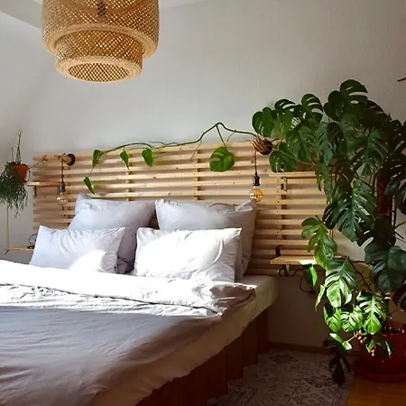 Greenbnbs: Cozy Urban Jungle In The Centre Essen