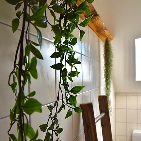 Appartement Greenbnbs: Cozy Urban Jungle In The Centre *